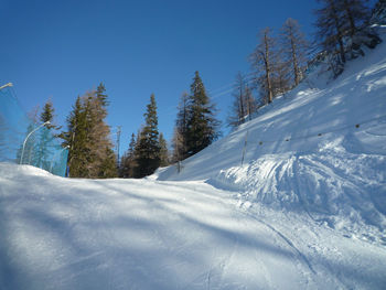 Snow covered land and trees against sky