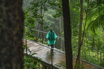 Rear view of man standing on footbridge in forest