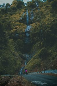 Scenic view of waterfall amidst trees