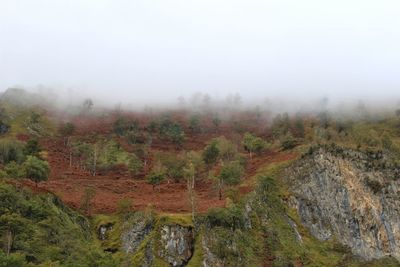 Scenic view of landscape against sky