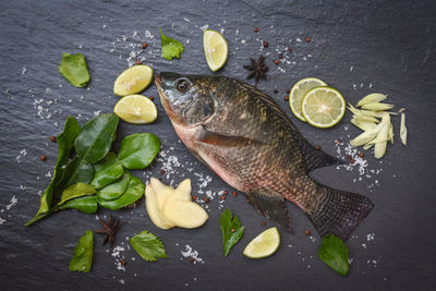 High angle view of fish on leaves