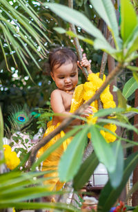 Adorable infant dressed as hindu god krishna cute facial expression playing at tree at janmashtami