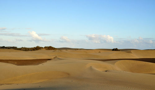 Scenic view of desert against sky
