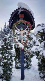 Woman standing by snow covered plants