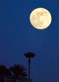 Low angle view of moon in sky at night