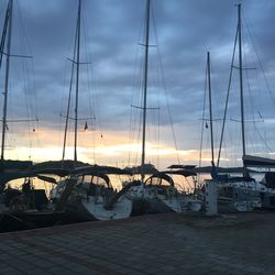 Sailboats moored in harbor at sunset