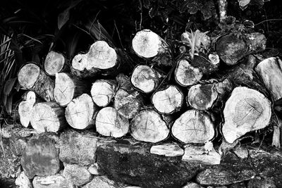 Stack of logs