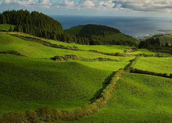 Green scenery shadow and light azores