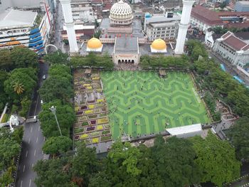 High angle view of trees and buildings