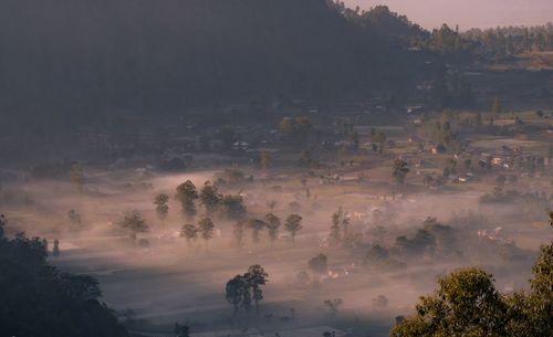 High angle view of trees on landscape against sky