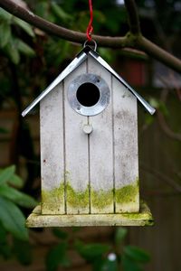 Close-up of metal hanging outdoors