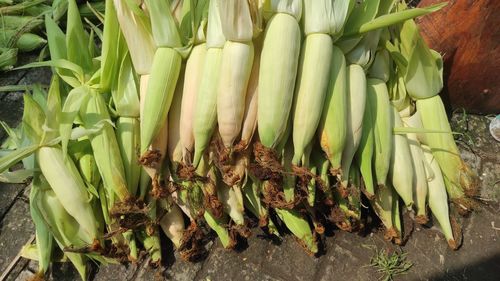 High angle view of vegetables