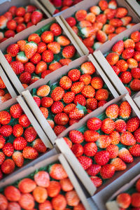 High angle view of strawberries in market