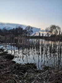 Scenic view of lake against sky