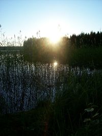 Scenic view of lake at sunset