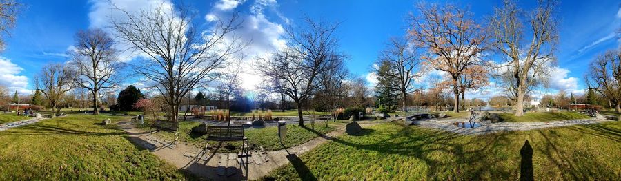 Panoramic view of trees on field against sky