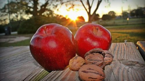 Close-up of red object