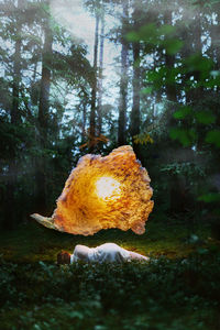 Close-up of mushroom growing on field