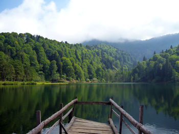 Scenic view of lake in forest against sky