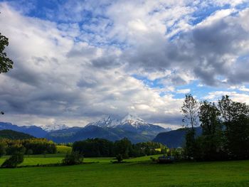 Scenic view of field against sky