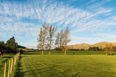 Scenic view of golf course against sky