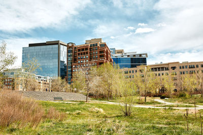 View of commons park landscape with apartments and offices in the distance.  denver, colorado