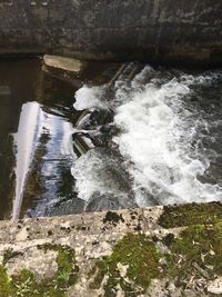 High angle view of puddle