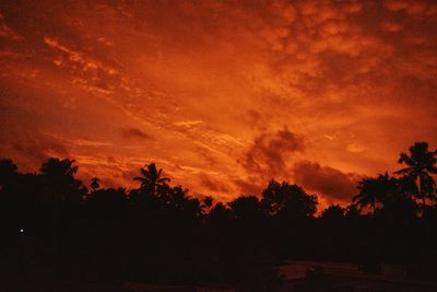 Silhouette trees in forest against orange sky