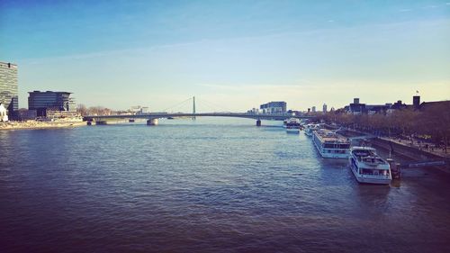 View of suspension bridge in city