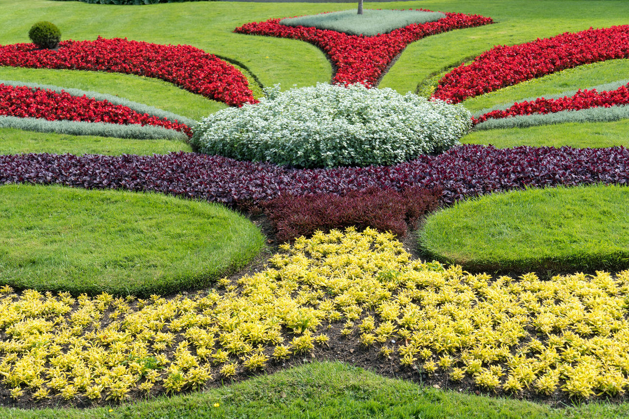 MULTI COLORED FLOWERS IN GARDEN