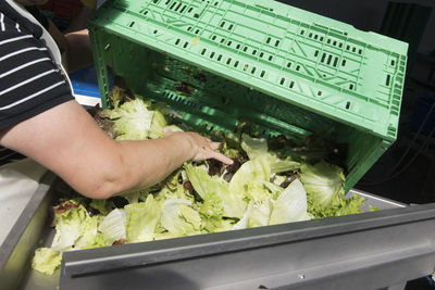 High angle view of person preparing food