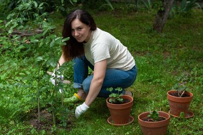 Care for roses in the garden