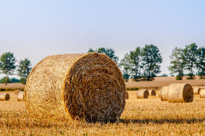 Hay bales on land against sky