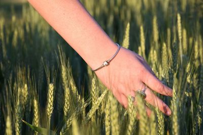 Cropped hand of woman standing amidst plants