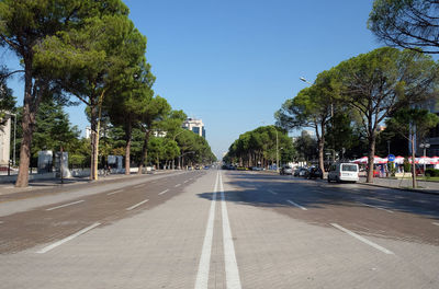 Empty road along trees and plants in city