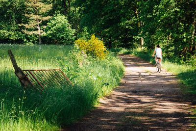 Rear view of woman riding bicycle in forest