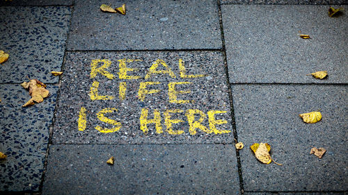 High angle view of yellow text on street