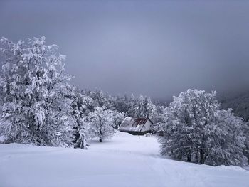 Lonely cabin in the mountains surrounded by trees covered in snow on a cold and foggy day