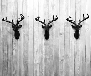 View of deer hanging on wall