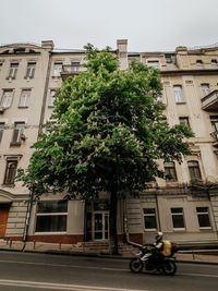 Low angle view of building