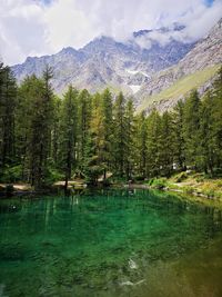 Scenic view of lake by trees against sky