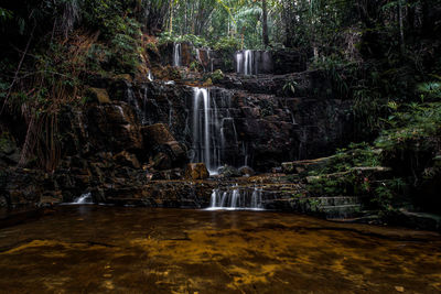 Waterfall in forest