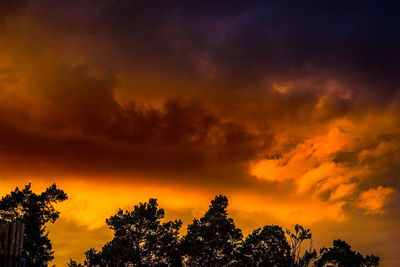 Low angle view of silhouette trees against dramatic sky