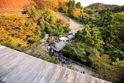 High angle view of trees by mountain during autumn