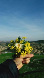 Person holding yellow flowering plant on field