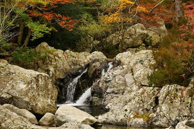 Stream flowing through rocks in forest