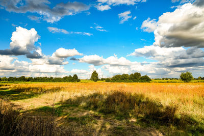 Scenic view of field against sky
