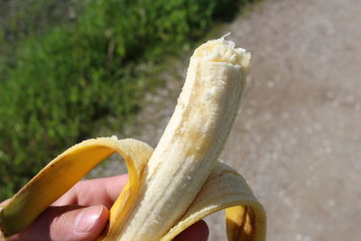 Close-up of hand holding ice cream