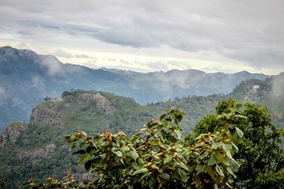 Scenic view of landscape against cloudy sky