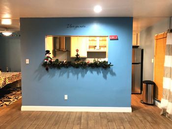 Illuminated potted plant on wall